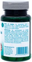 Castaño Indias para las Piernas Pesadas 100 comprimidos Castaño Indias para las Piernas Pesadas 100 comprimidos